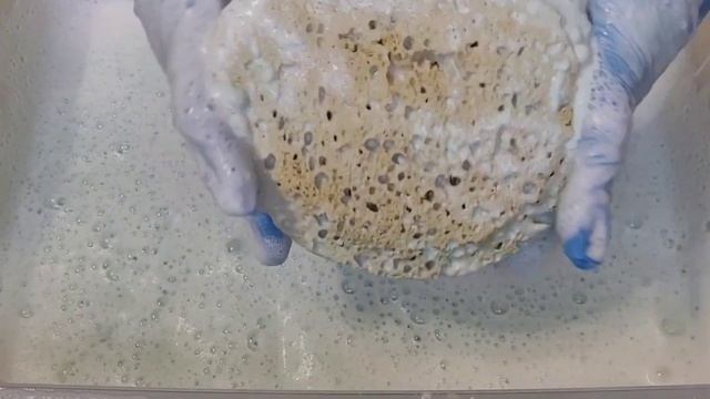 bleach and gain overload ☠ tons of comet powder bombs // rinse included ✌ смотреть онлайн