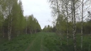 Один живет в заброшенной деревне. Единственный житель среди заброшенных домов. Отшельник в лесу.