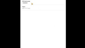 Система быстрых платежей (СБП) в momentum