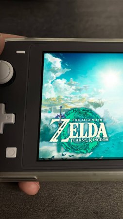 The Legend of Zelda Tears of the Kingdom Nintendo Switch Lite