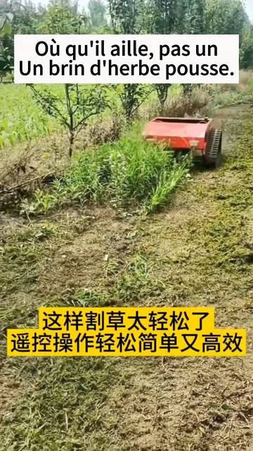 Où qu’il aille, pas un brin d’herbe ne pousse. смотреть онлайн