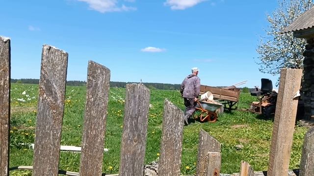 Один в деревне. Мой быстрый способ сажать бульбу в деревне