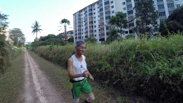 Green Corridor TMG Greeting Day смотреть онлайн
