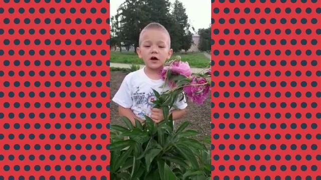 С днем библиотек смотреть онлайн