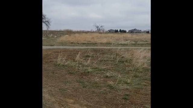 Ghost parks are spreading rapidly in Colorado