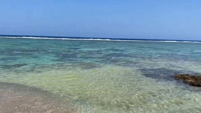 Pickalbatros sea world смотреть онлайн