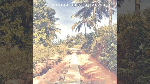 Созерцая, Звездный смотреть онлайн