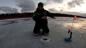 РЫБАЛКА НА ЖЕРЛИЦЫ. ТОЛЬКО ПОСТАВИЛ УЖЕ ГОРЯТ ФЛАЖКИ! ВЕЧЕРКА на ЖЕРЛИЦЫ по последнему ПЕРВОМУ ЛЬДУ!