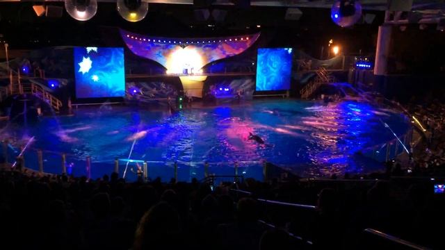 Шоу в SeaWorld 30 декабря 2015 - 2 смотреть онлайн