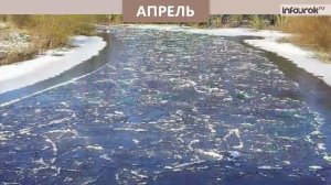 Времена года Весна Окружающий мир 2 класс #28 Инфоурок 360p