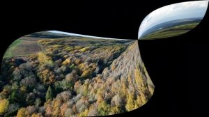 Что ждёт человечество с 2020 2024