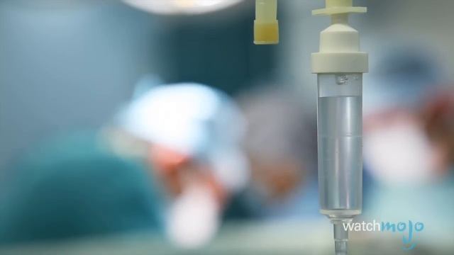 Top 10 Historical Predictions That Actually Came True смотреть онлайн