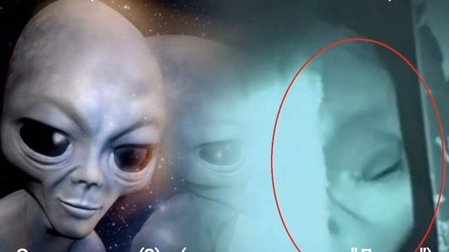 ☑️Зета: Найдите его VK.#эгф #итк #фэг #нло #UFO#зета #пришельцы смотреть онлайн