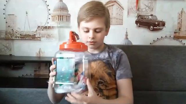 Никифир и проэкт смотреть онлайн