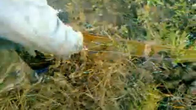 мотоблок смотреть онлайн