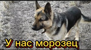 А у нас морозец и красота...