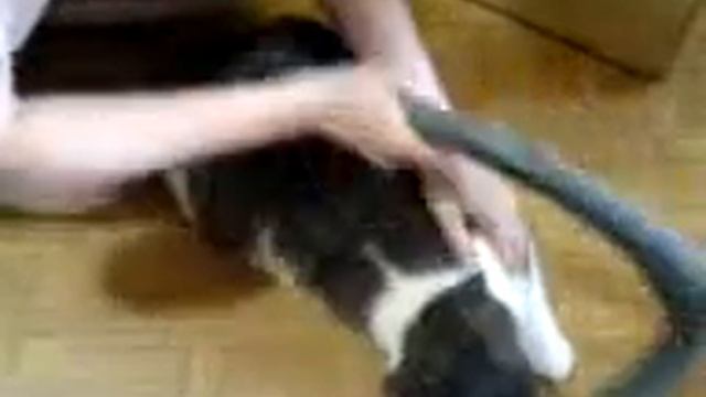 Saturn vs aspirapolvere 2 смотреть онлайн