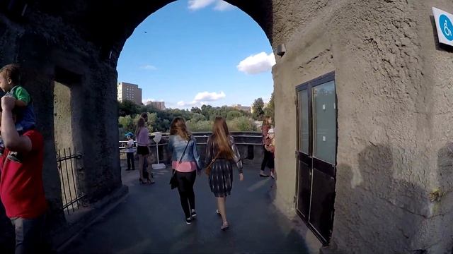 Animals planet PART 2 смотреть онлайн