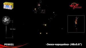 РС6021