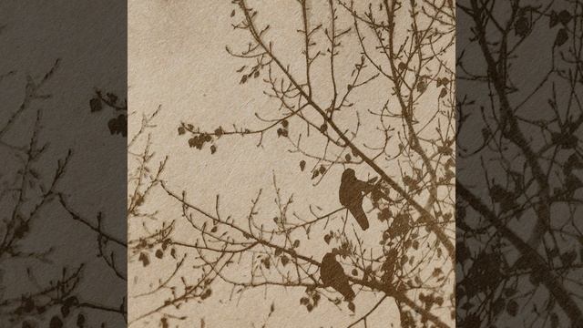 Sleeping in Wildflower Meadow смотреть онлайн