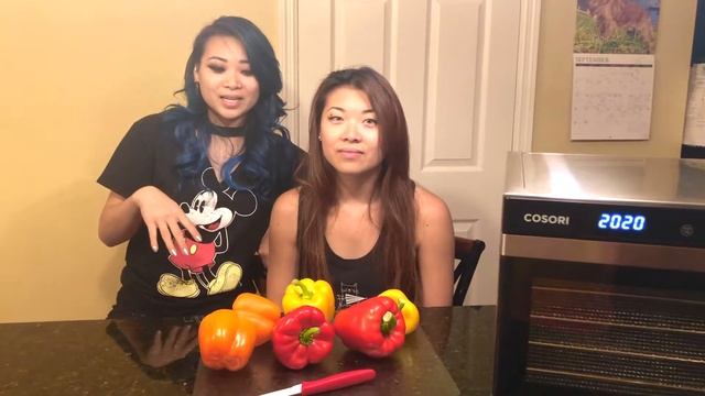 Cosori Food Dehydrator Unboxing and First Use by the Mei Li Twins смотреть онлайн