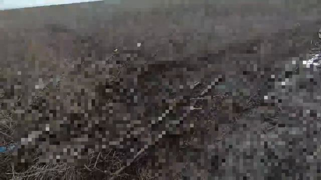 Зарисовки Доктора! Барс27! Свежие новости! неожиданная находка на позиции.