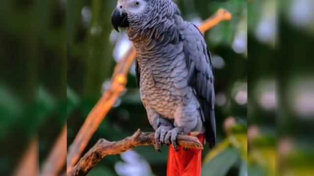 Төнге сагыш смотреть онлайн