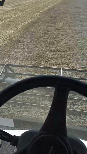 торум 740 смотреть онлайн