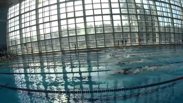 290421 Обл На призы Фед Плав вс 50м Дмитриев 2009гр 2 дор 34с 1юн смотреть онлайн