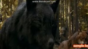 Сумерки Волки - MoonDance.