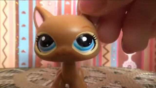 LPS встречка в г Белгороде! смотреть онлайн