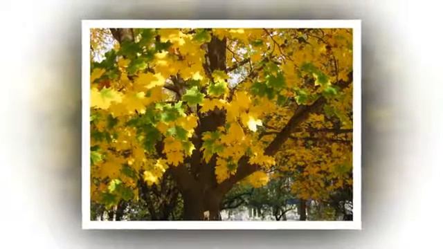 Тайна, которой нет Тони Парсонс (аудиокнига, читает Nikosho) ЭЗОТЕРИКА смотреть онлайн