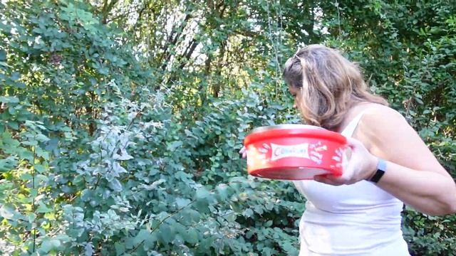 Foraging For Food in Milton Keynes смотреть онлайн