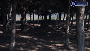 ЖК НАРОДНЫЕ КВАРТАЛЫ КРАСНОДАР - НИЗКИЕ ЦЕНЫ НА СТАРТЕ ПРОДАЖ