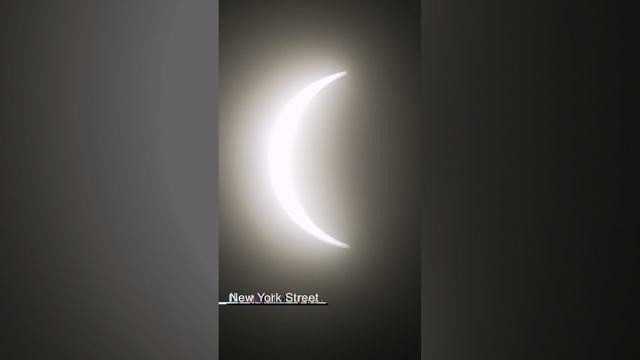 Solar Eclipse & Sakura in Central Park New York City April 8 2024 смотреть онлайн