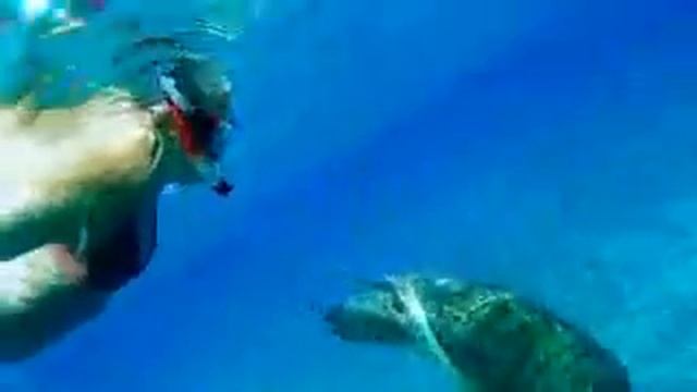 El-Malikia Abu Dabbab - Marsa Alam - Egypt смотреть онлайн