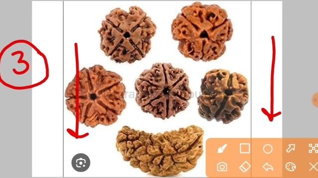 20 मई वैशाख सोमवार के उपाय | पूरा परिवार रहेगा खुश आपका | pradeep Mishra today upay #somvar смотреть онлайн