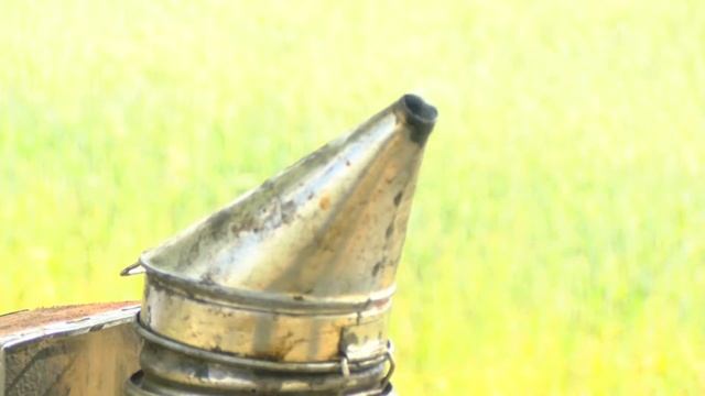 Bitės смотреть онлайн