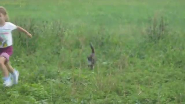 Догони меня смотреть онлайн