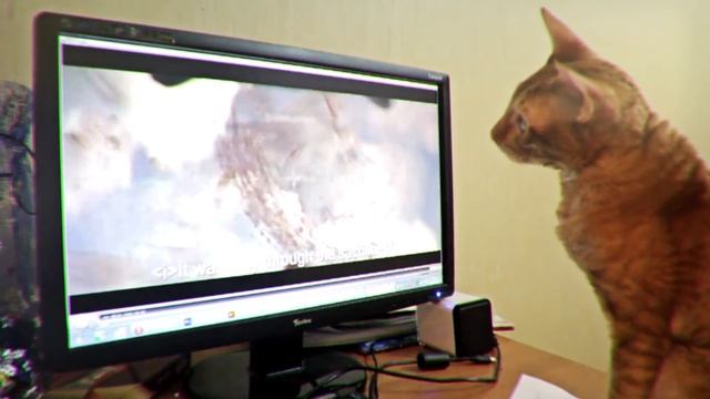 Sonik - Fly cat смотреть онлайн