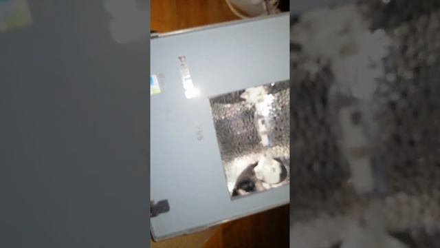 Osram powerstar hqi-ts 70w/830 in Philips Tempo 1 HQI Strahler смотреть онлайн