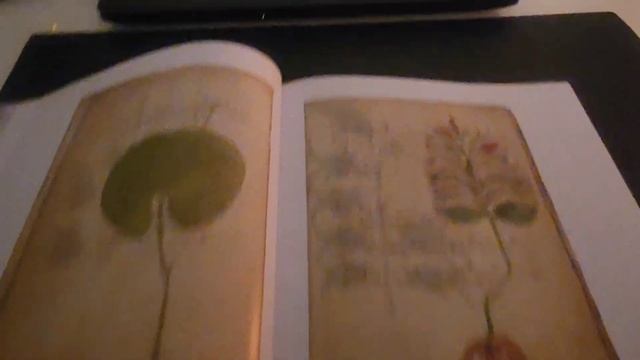 The World's Most Mysterious Book | Voynich Manuscript | Book Flip Through | Unintentional ASMR смотреть онлайн