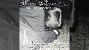 Планета Снюсоедов 2 / Ночной Снюсоед | 2 Полных Саундтрека