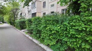 АЛМАТЫ - ДОМ ВАШЕГО ДЕТСТВА. #казахстан #алматы #казахфильм #сегодня #дом #двор #детство