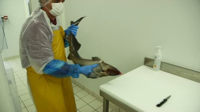 Le secret du bon caviar смотреть онлайн