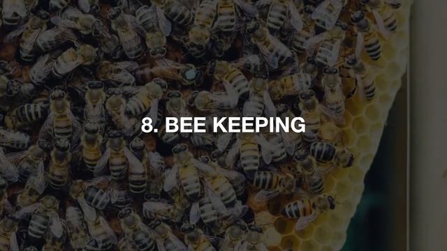 Farming Ideas: Best 15 Small Scale Farming Ideas | Small Business Ideas | Agriculture and Technolog