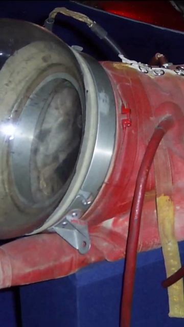 What Is The Bizarre Story Of The Soviet Space Dog? #Shorts смотреть онлайн