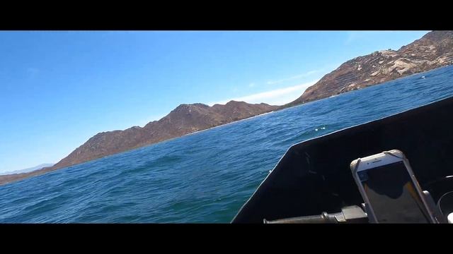I kept up with a jet ski on a hovercraft. Water was very choppy. Plowed in twice