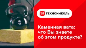 ТЕХНОНИКОЛЬ. Каменная вата "ТЕХНОНИКОЛЬ". Что Вы знаете об этом продукте?