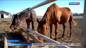 Малкинскому конному заводу исполняется 155 лет